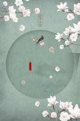 女士中医营养精油spa诱导
